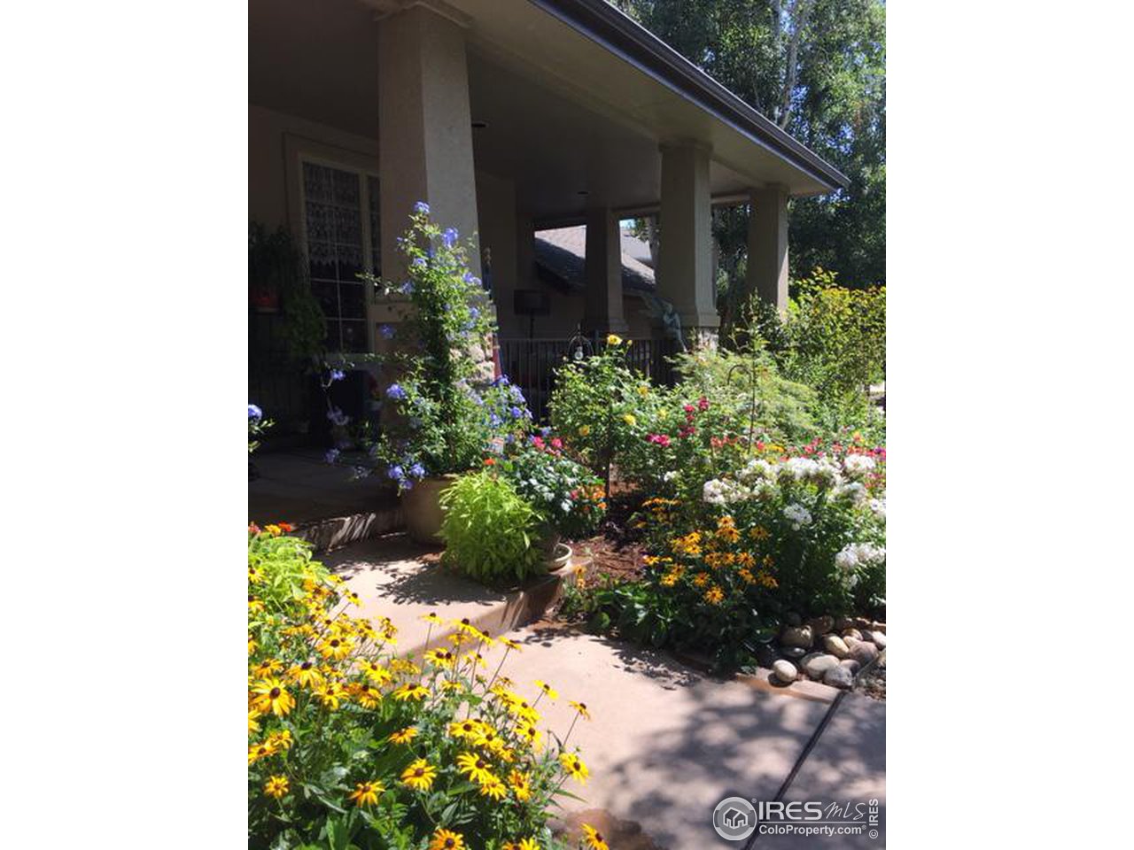 2435 Targhee Point Lafayette, CO 80026 - Photo 36 of 39 a front view of a house