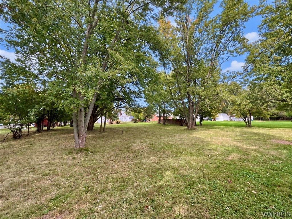 5427 Berg Road Buffalo, NY 14218 - Photo 16 of 18 Gallery Image 16
