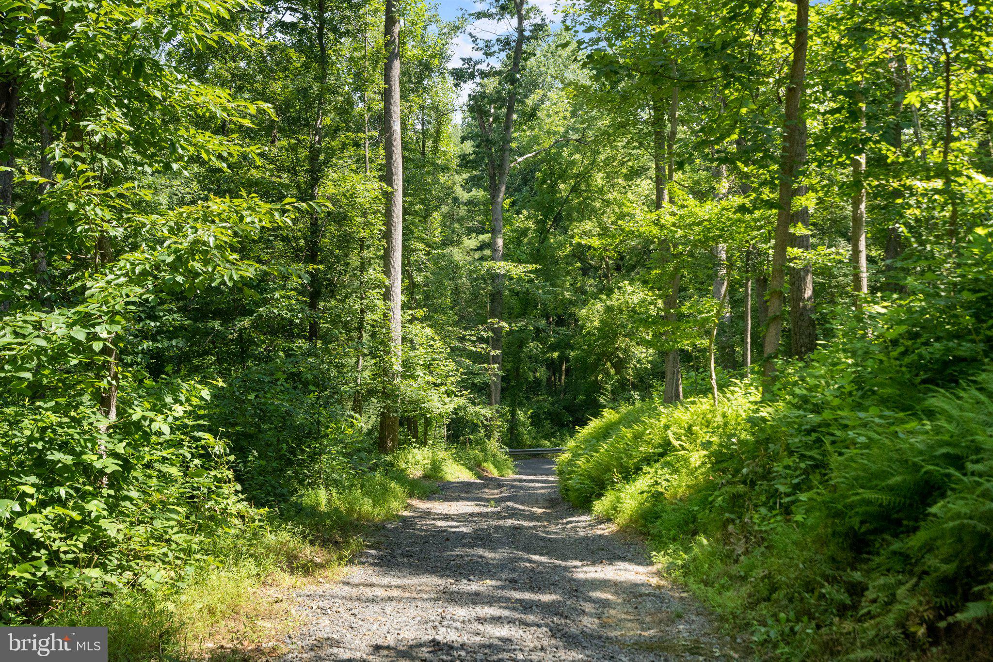 22015 Wildcat Road Germantown, MD 20876 - Photo 15 of 29