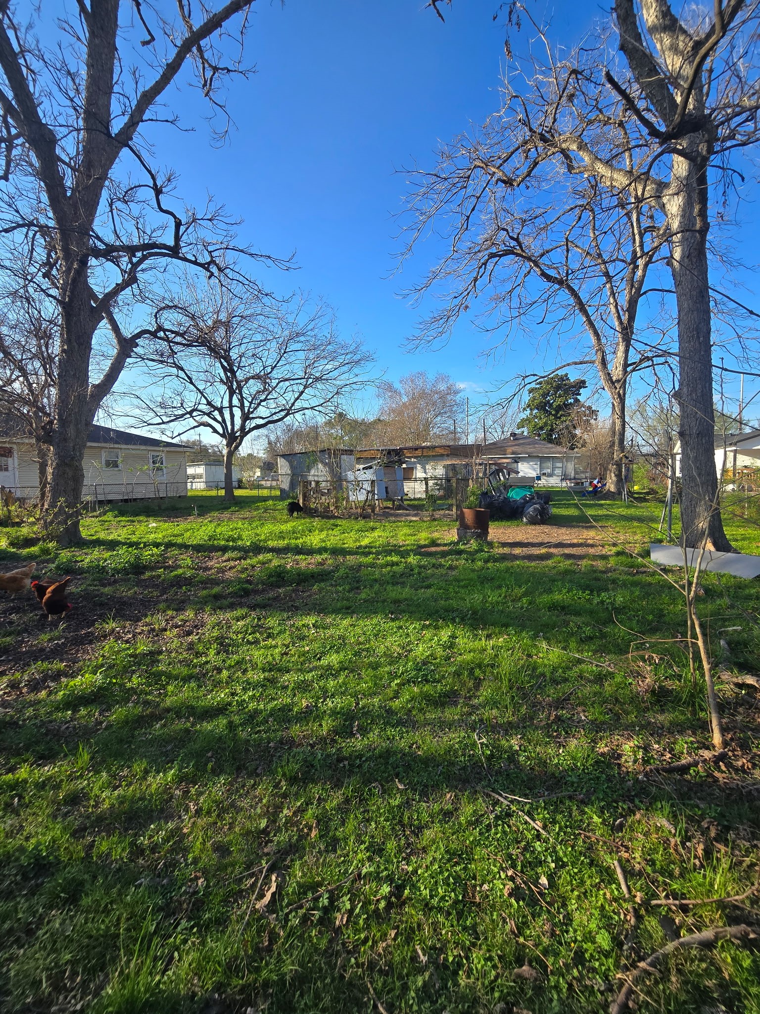 108 Parker Road Houston, TX 77076 - Photo 5 of 9 a view of a park with large trees