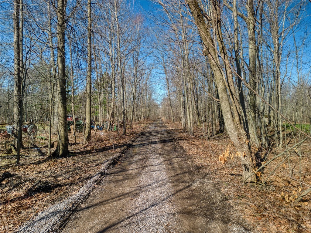 County Line Road Geneva, OH 44041 - Photo 4 of 11