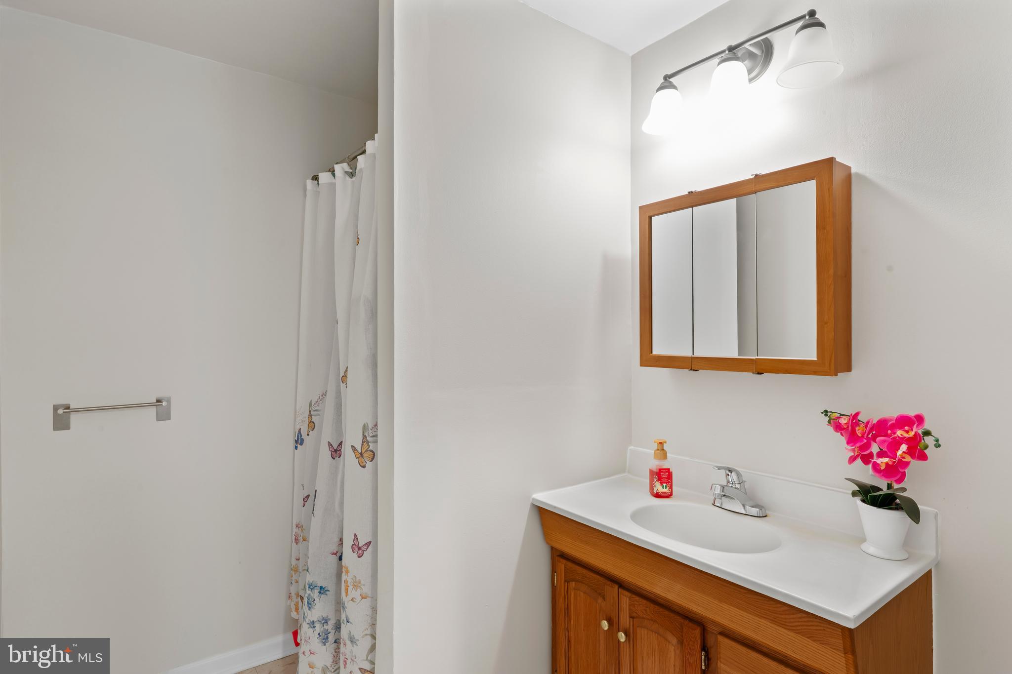 10267 Green Holly Terrace Silver Spring, MD 20902 - Photo 40 of 52 a bathroom with a sink vanity and a mirror