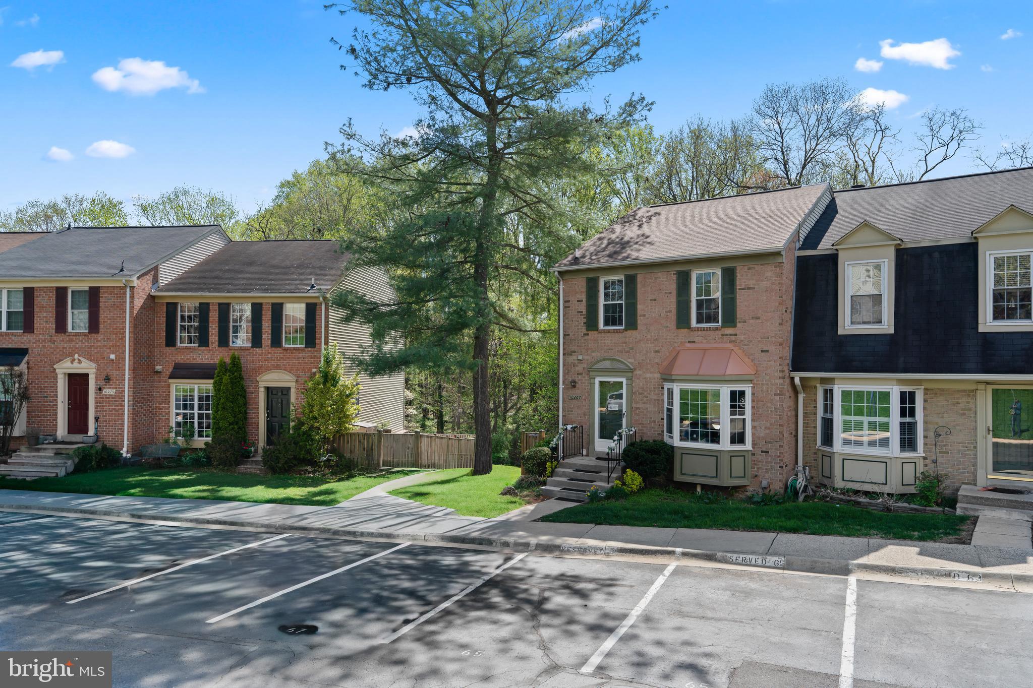 10267 Green Holly Terrace Silver Spring, MD 20902 - Photo 46 of 52 a front view of a house with a yard and trees