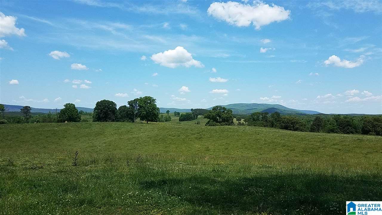31 County Road Ashland, AL 36251 - Photo 34 of 38