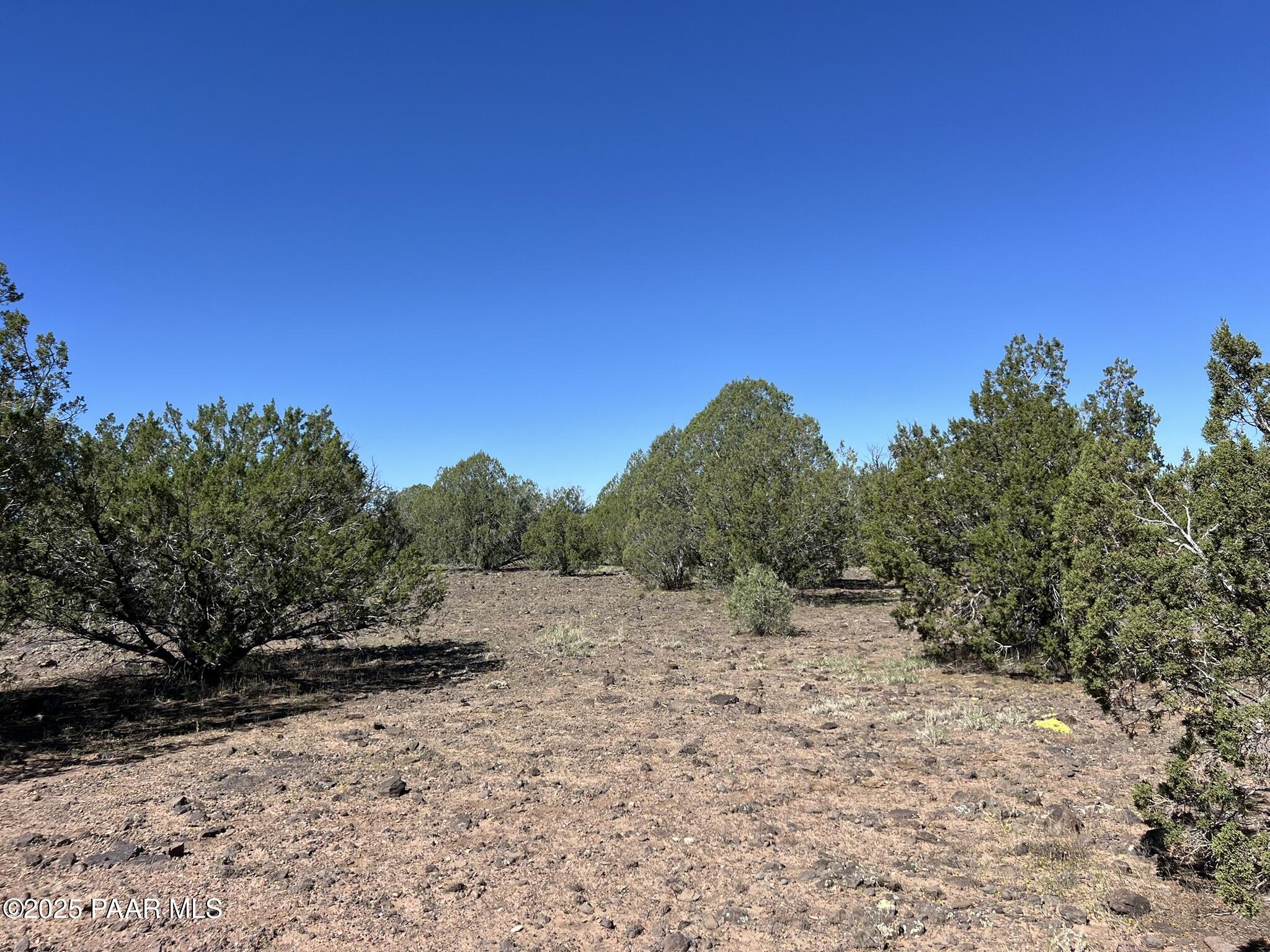 18 A West Warren Run Road Ash Fork, AZ 86320 - Photo 12 of 17 a view of a dry yard with trees in the background