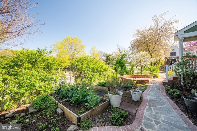 a view of a backyard with plants and a fountain