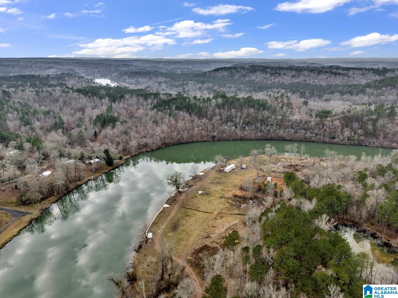 2222 Alliance Road, Unit 1 Quinton, AL 35130 - Photo 7 of 12