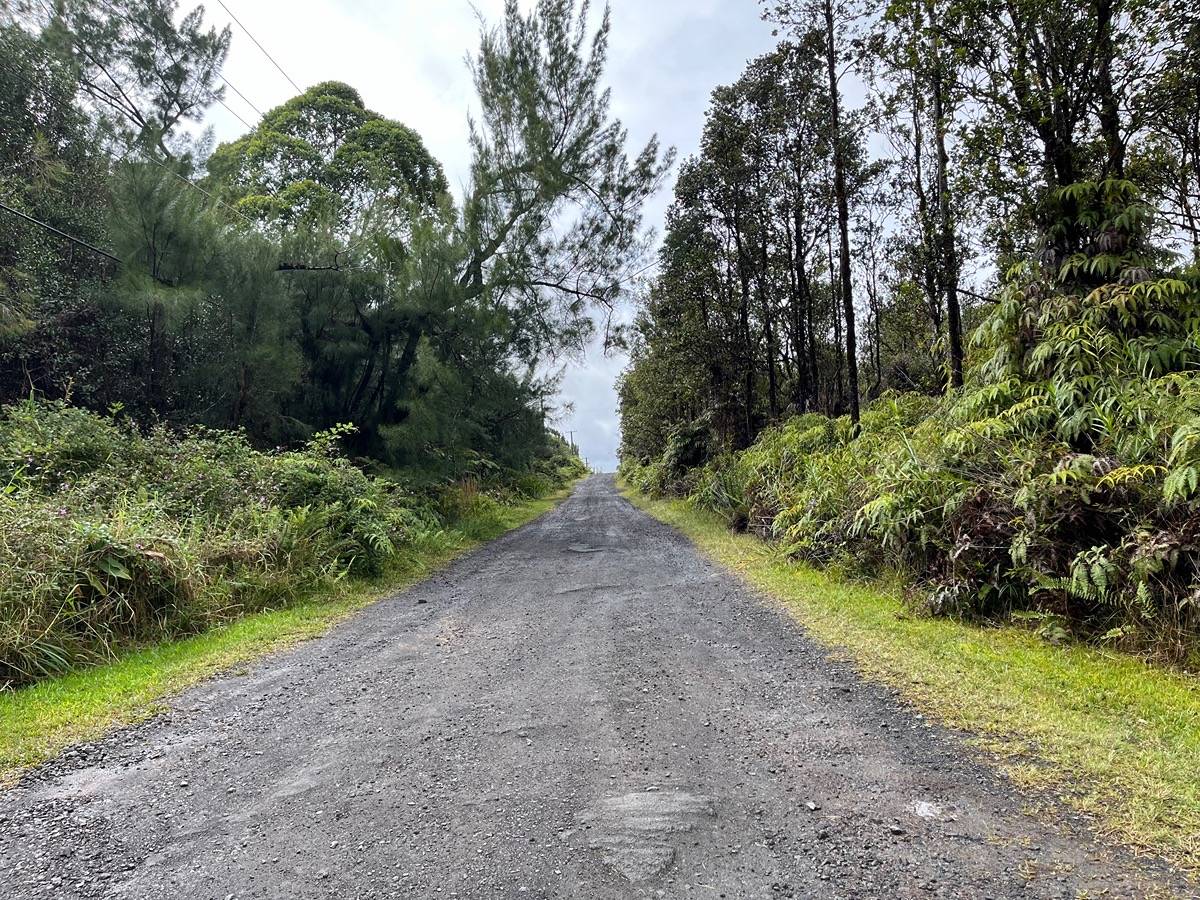 49 Kaleponi Road Pahoa, HI 96778 - Photo 6 of 8 a view of a road with plants and trees