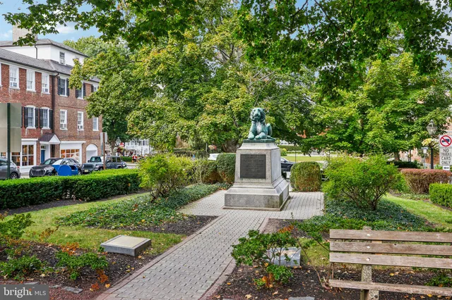 a view of a garden with plants and large trees