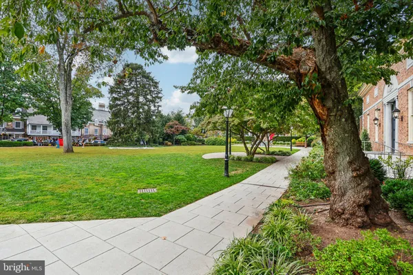 a view of a park with large trees