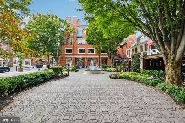 a front view of a house with yard and green space