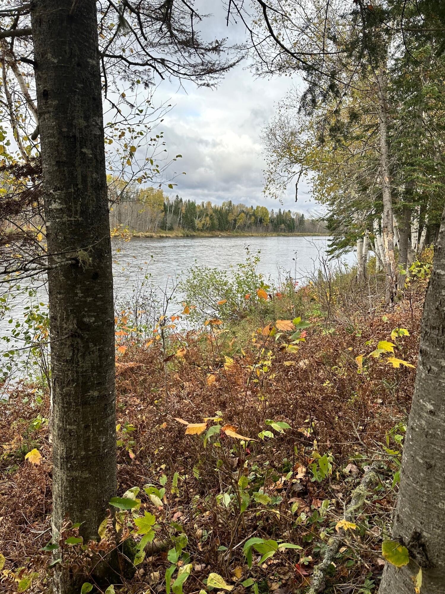 864 Sheridan Road Ashland, ME 04732 - Photo 28 of 34 sheridan river view up stream