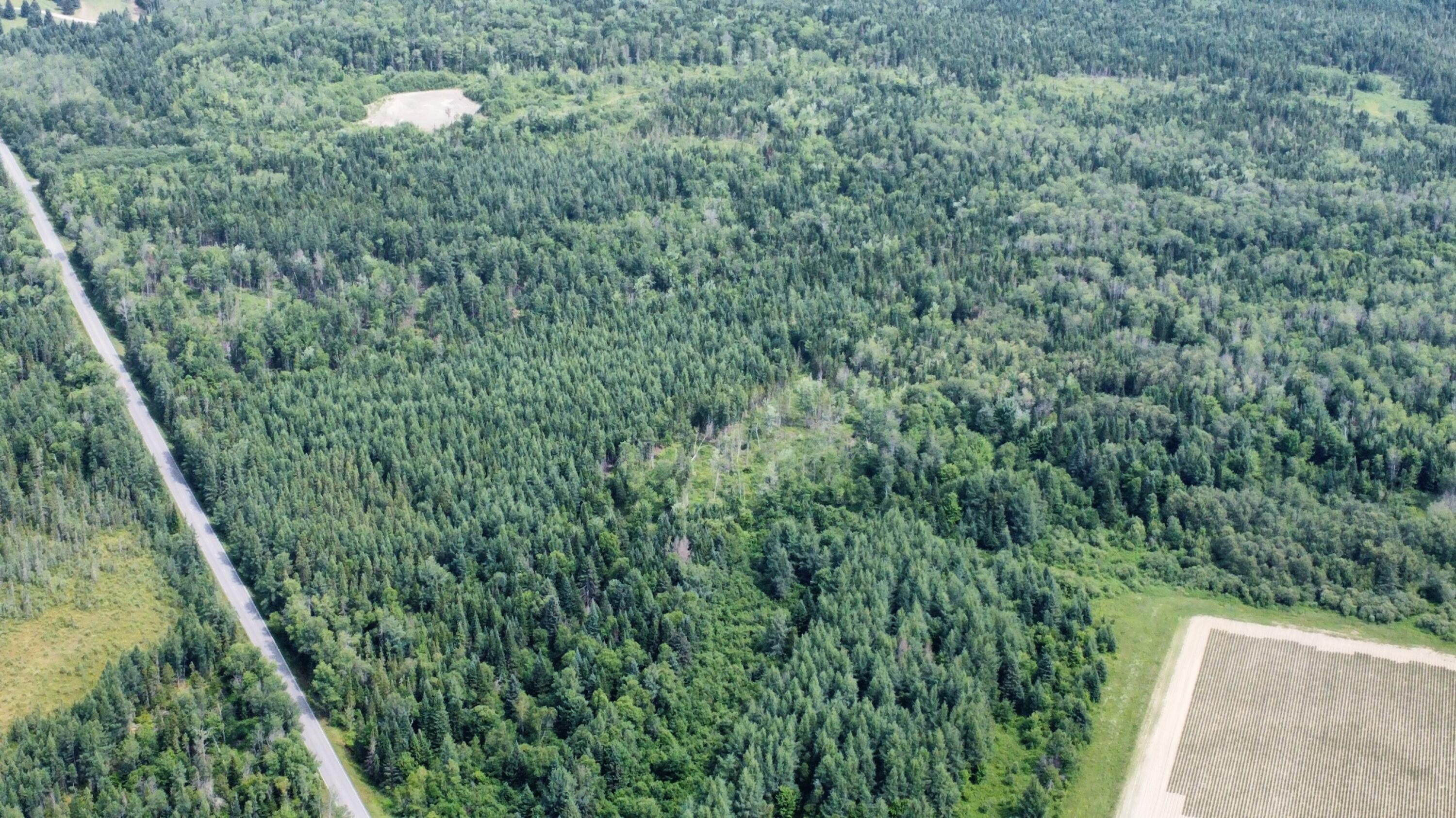 0 Jemtland Road Caribou, ME 04736 - Photo 4 of 7 dji_fly_20260713_103742_611_178395361334