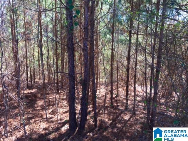 0 Teem Road, Unit 32A Cullman, AL 35057 - Photo 12 of 14