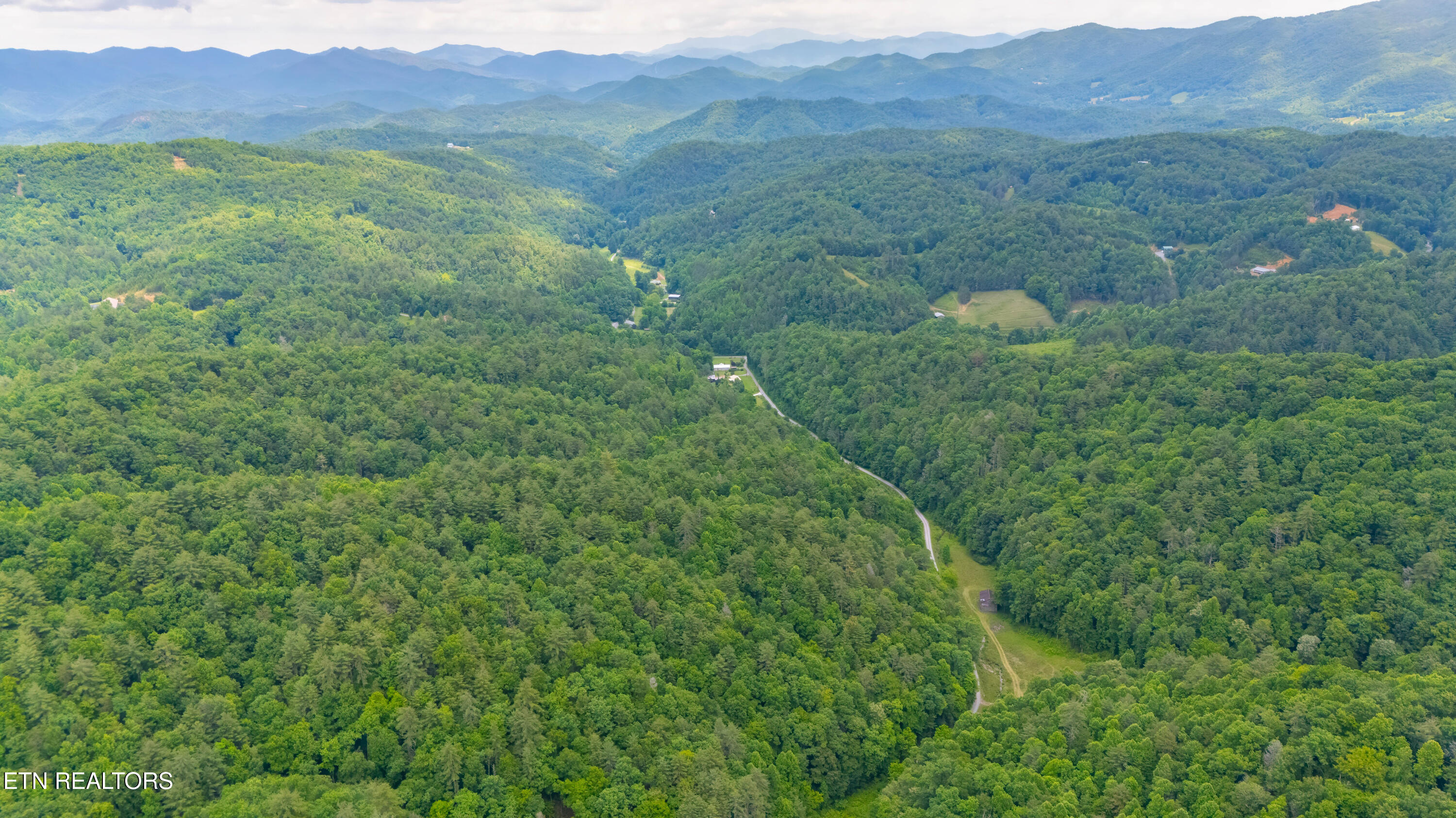 Johns Creek Road Del Rio, TN 37727 - Photo 12 of 17 DJI_20260602131213_0327_D-HDR-Edit
