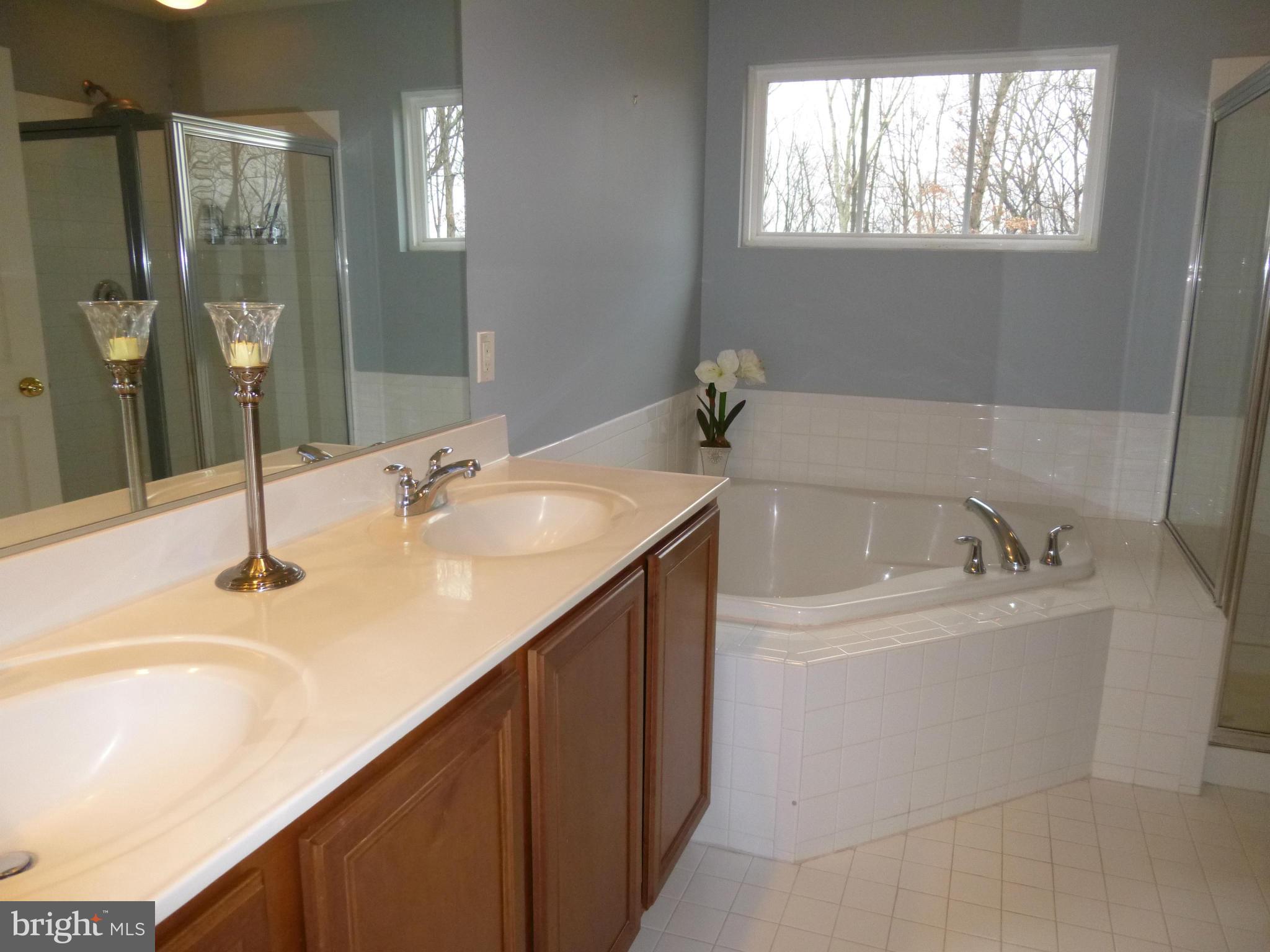9081 Ribbon Falls Loop Bristow, VA 20136 - Photo 14 of 28 Bath (Master)