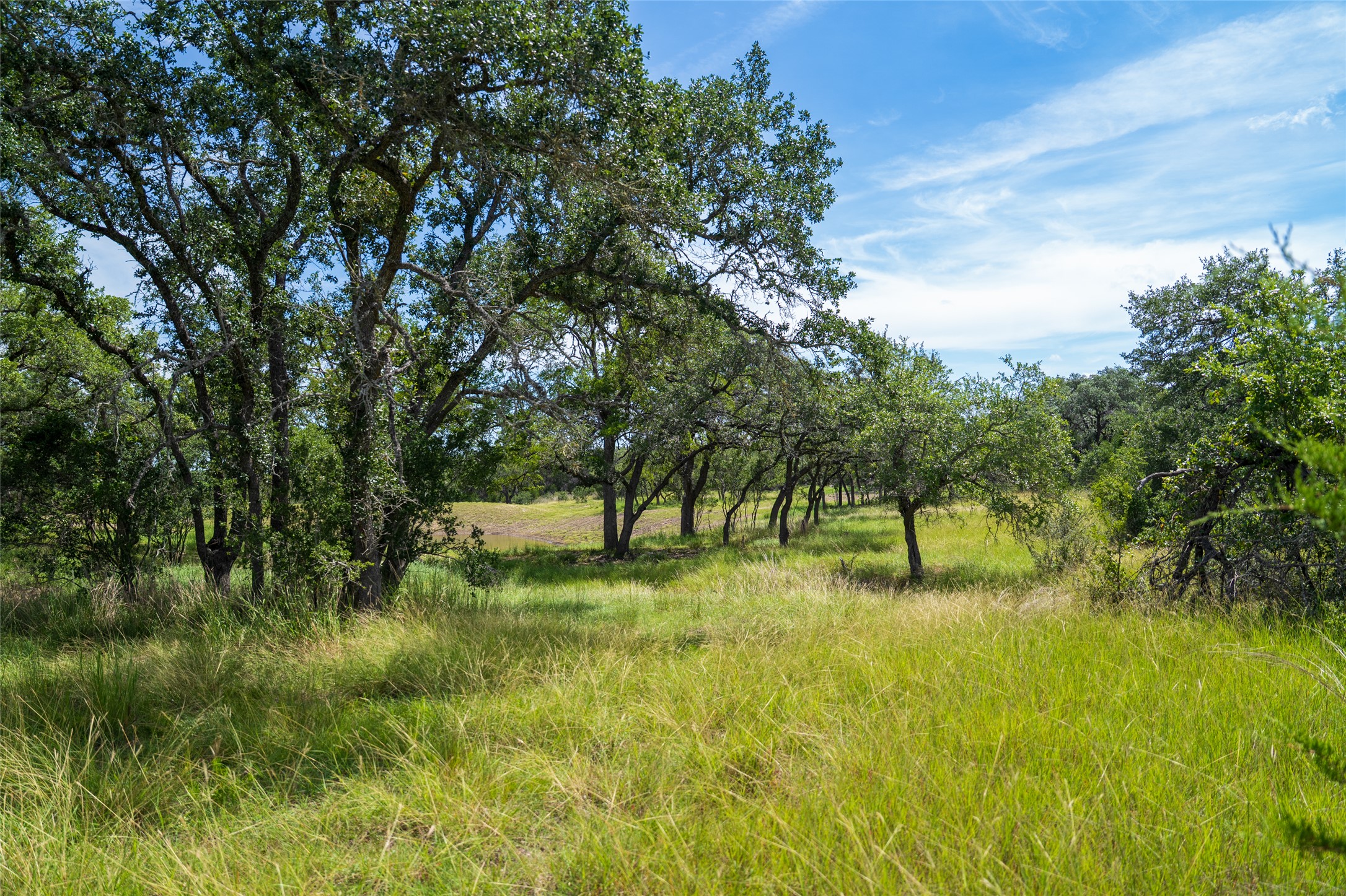 2 Pump Station Road Wimberley, TX 78676 - Photo 17 of 17 View of local wilderness