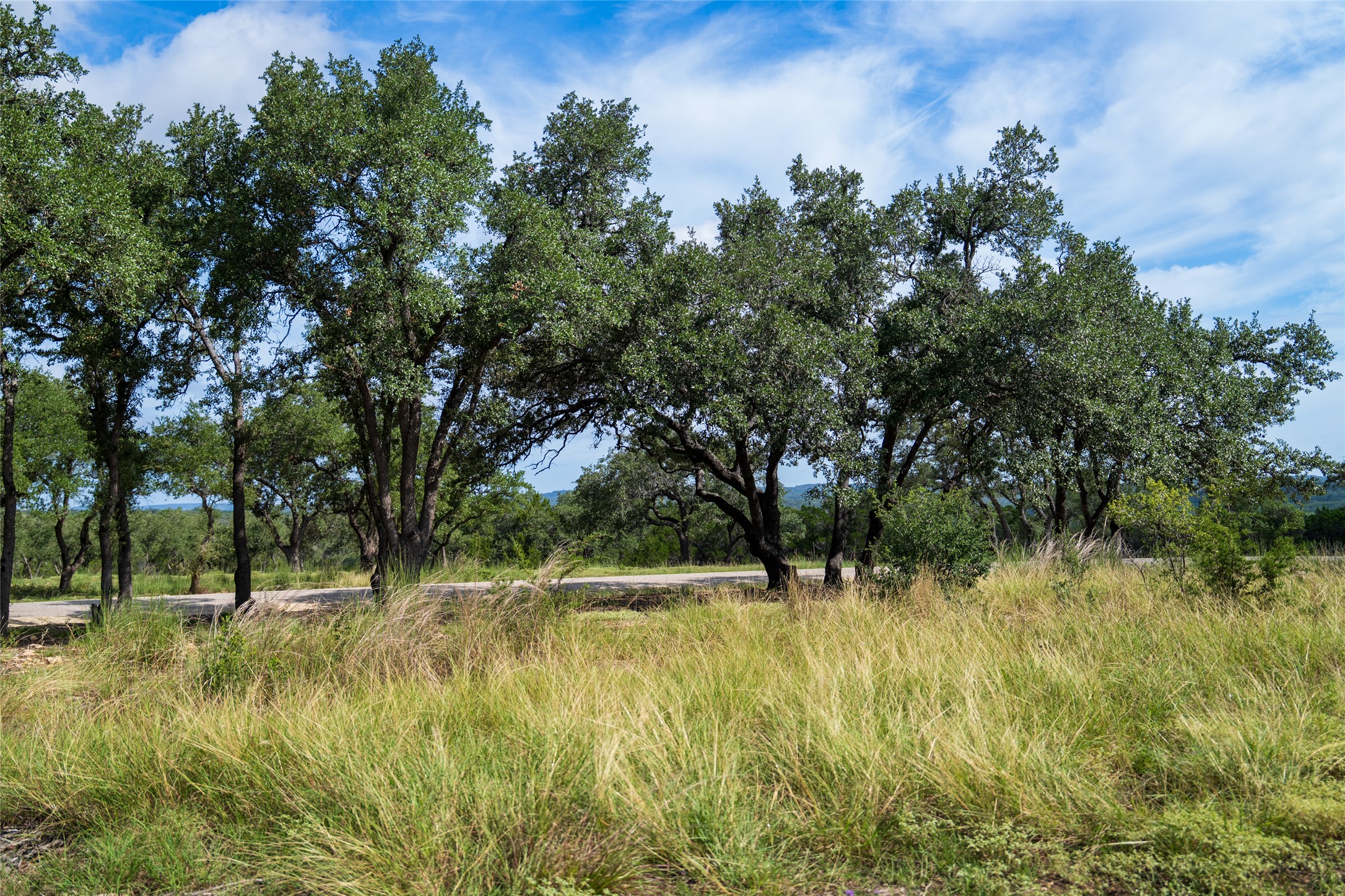2 Pump Station Road Wimberley, TX 78676 - Photo 3 of 17 View of undeveloped land