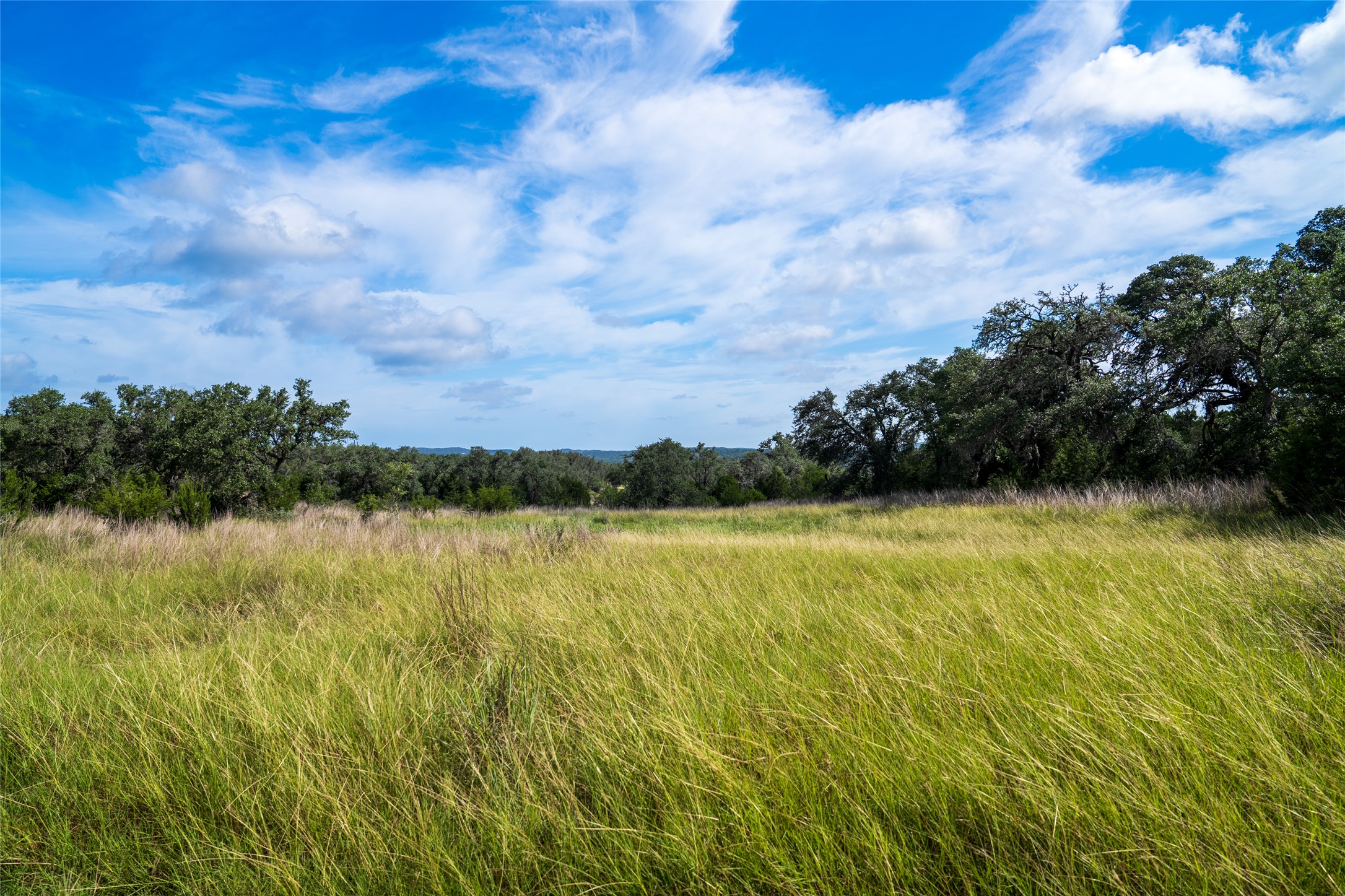 2 Pump Station Road Wimberley, TX 78676 - Photo 7 of 17 View of local wilderness featuring rural landscape