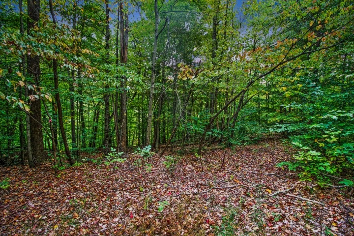 3507 Lanam Ridge Road Nashville, IN 47448 - Photo 7 of 36 Gallery Image 7