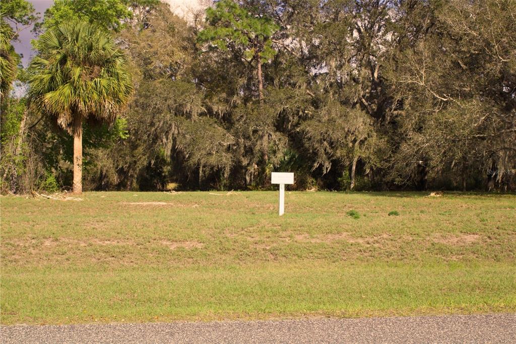 Ridge Road, Unit 47 Tavares, FL 32778 - Photo 2 of 41