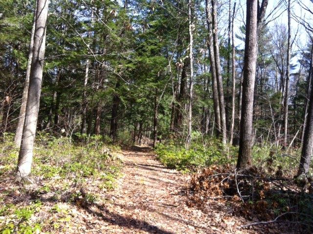 52 East Ridge Drive, Unit 105 Milford, NH 03055 - Photo 32 of 40