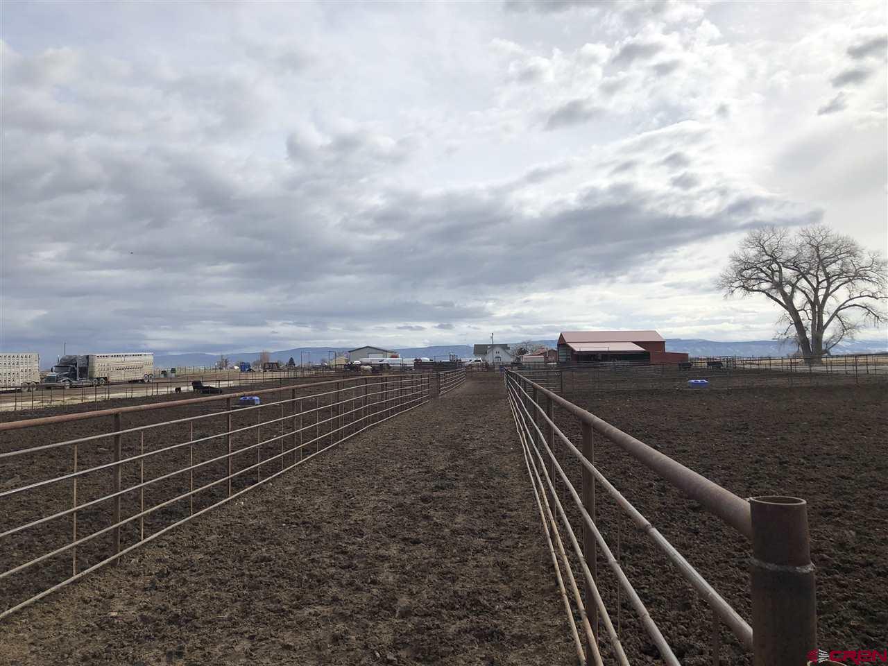 1991 5600th Road Delta, CO 81416 - Photo 11 of 33