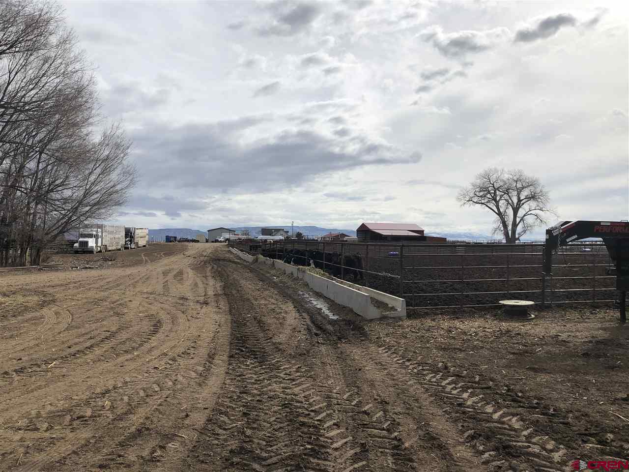 1991 5600th Road Delta, CO 81416 - Photo 12 of 33