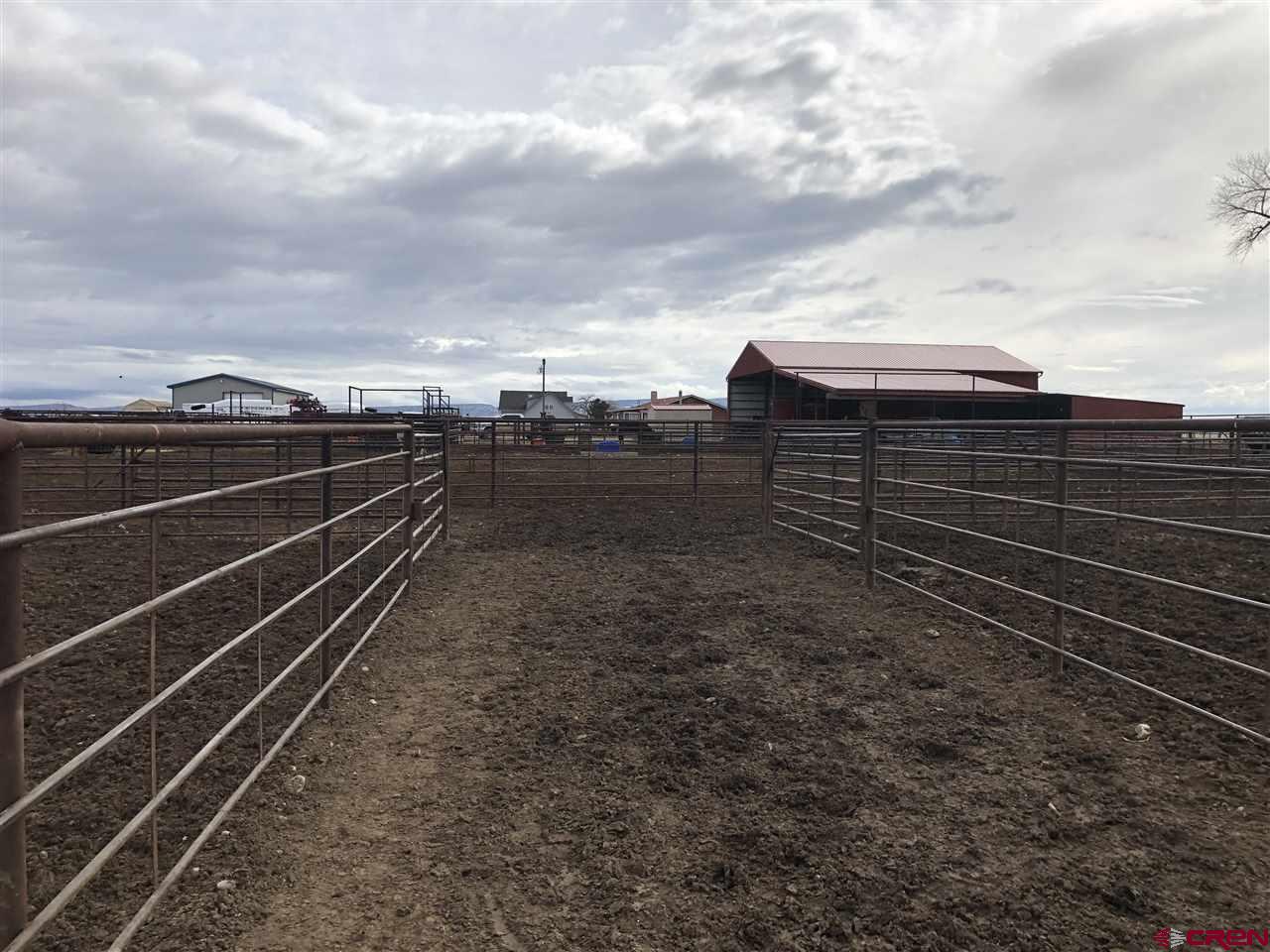 1991 5600th Road Delta, CO 81416 - Photo 13 of 33