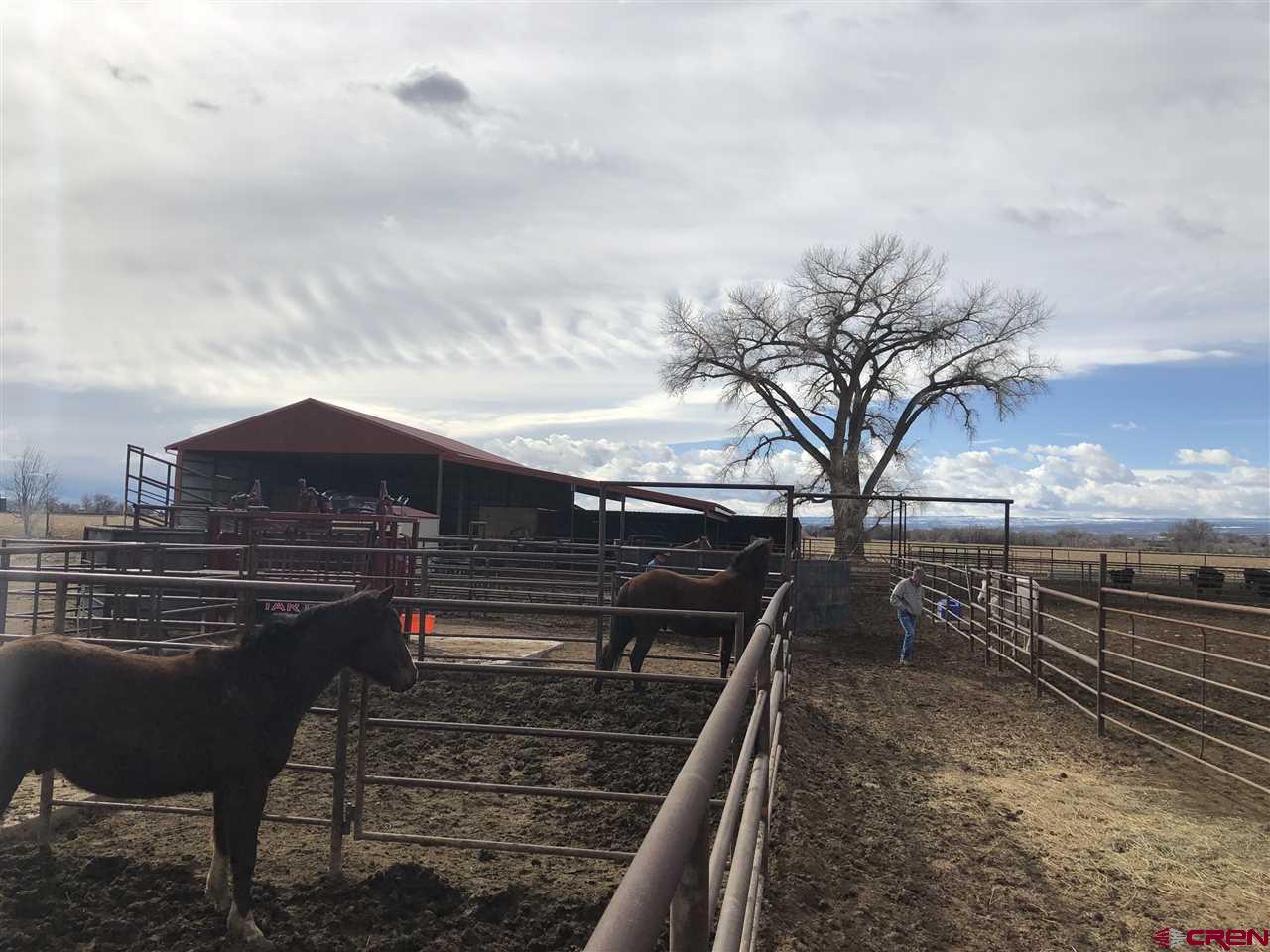 1991 5600th Road Delta, CO 81416 - Photo 14 of 33