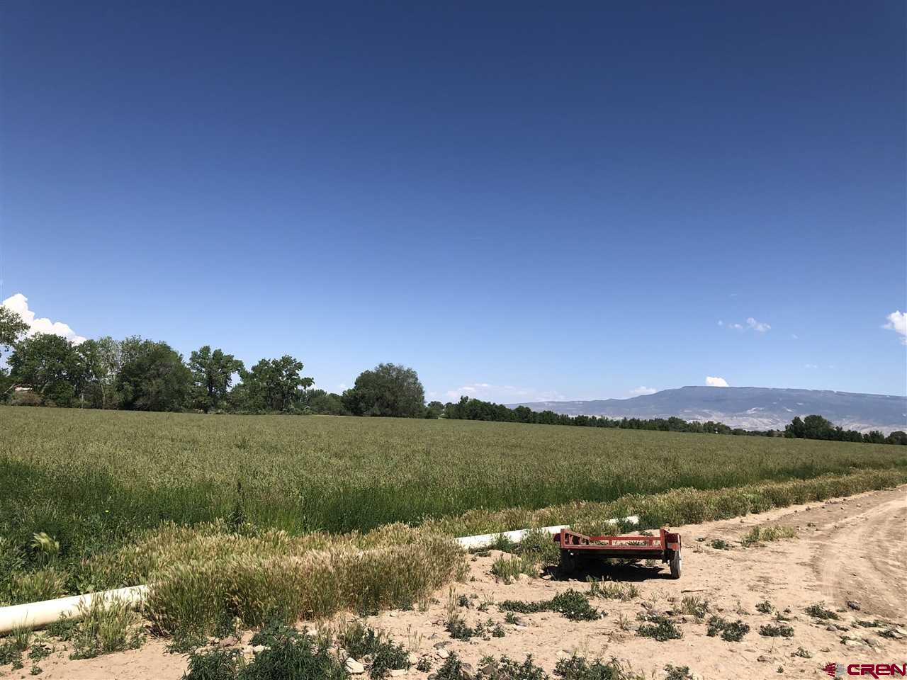1991 5600th Road Delta, CO 81416 - Photo 19 of 33