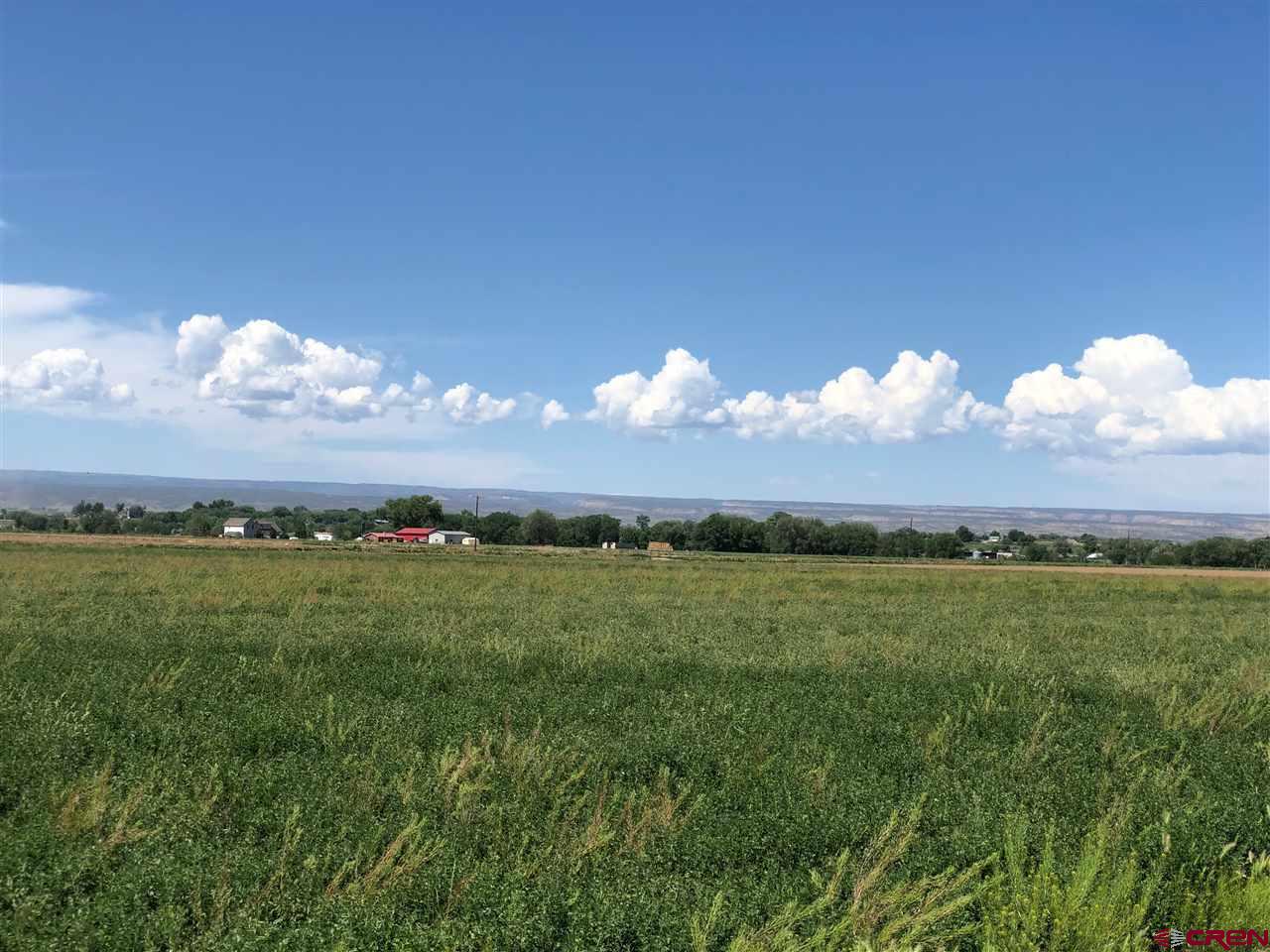1991 5600th Road Delta, CO 81416 - Photo 20 of 33