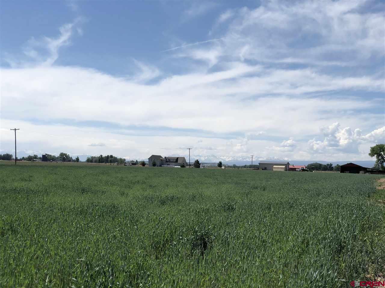 1991 5600th Road Delta, CO 81416 - Photo 21 of 33