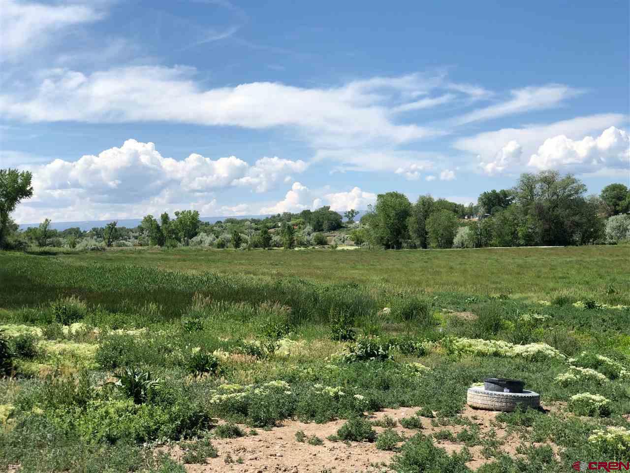 1991 5600th Road Delta, CO 81416 - Photo 23 of 33