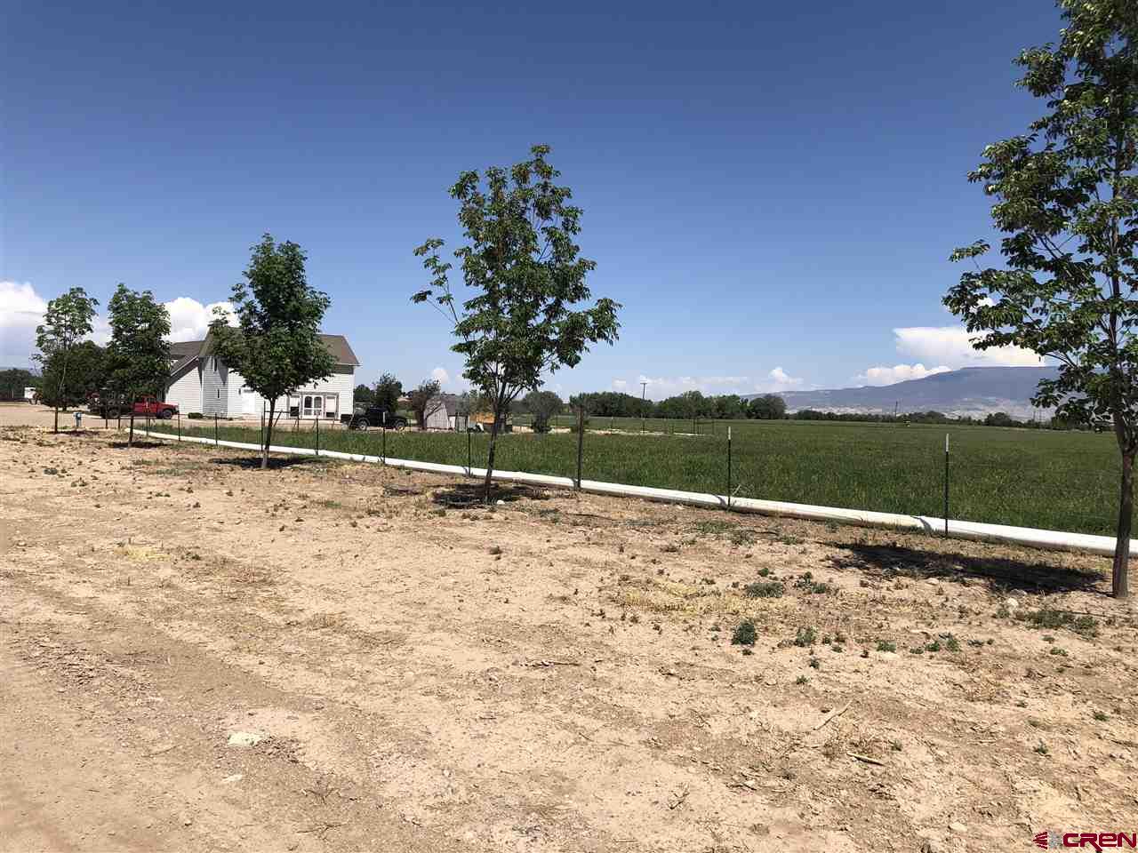 1991 5600th Road Delta, CO 81416 - Photo 27 of 33
