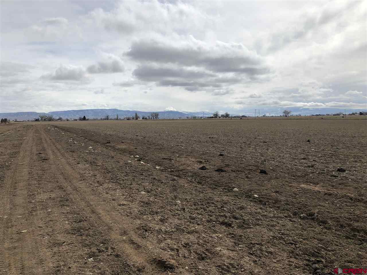 1991 5600th Road Delta, CO 81416 - Photo 4 of 33