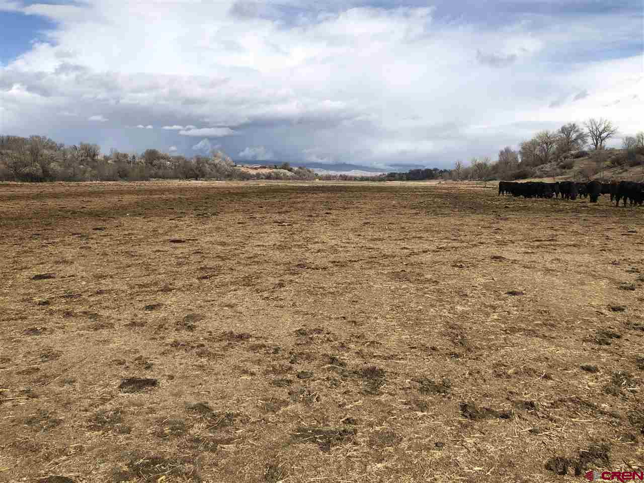 1991 5600th Road Delta, CO 81416 - Photo 6 of 33