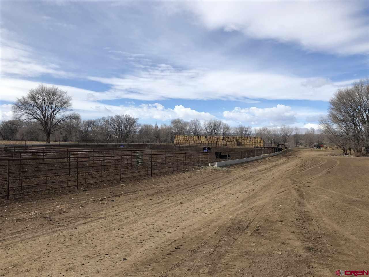 1991 5600th Road Delta, CO 81416 - Photo 8 of 33