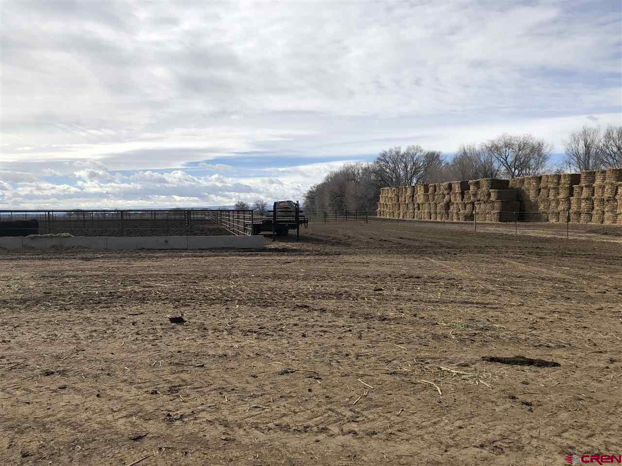 1991 5600th Road Delta, CO 81416 - Photo 9 of 33