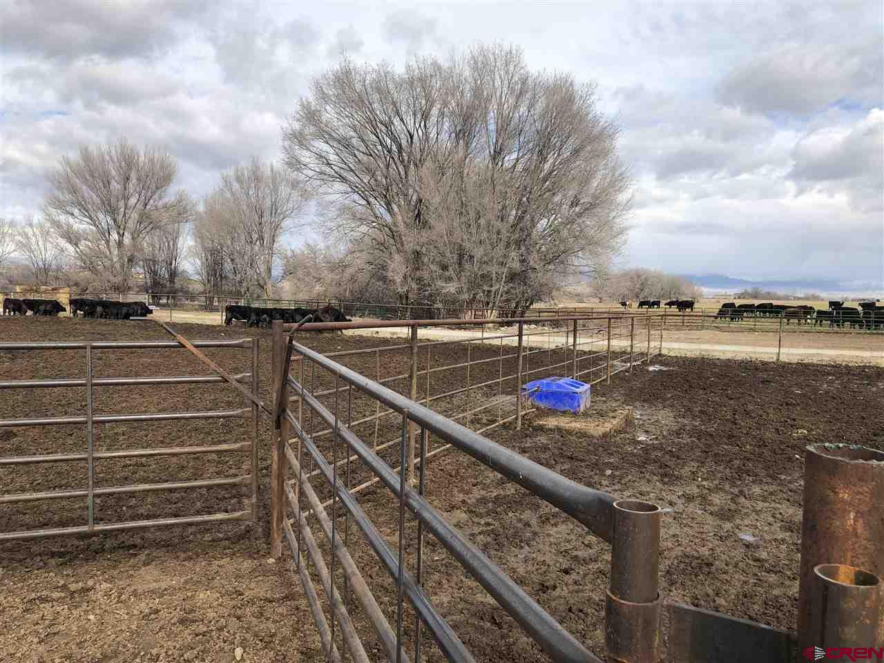 1991 5600th Road Delta, CO 81416 - Photo 10 of 33