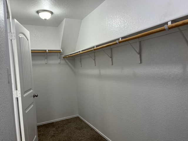 505 Ibis Falls Loop Jarrell, TX 76537 - Photo 11 of 29 a close view of closet