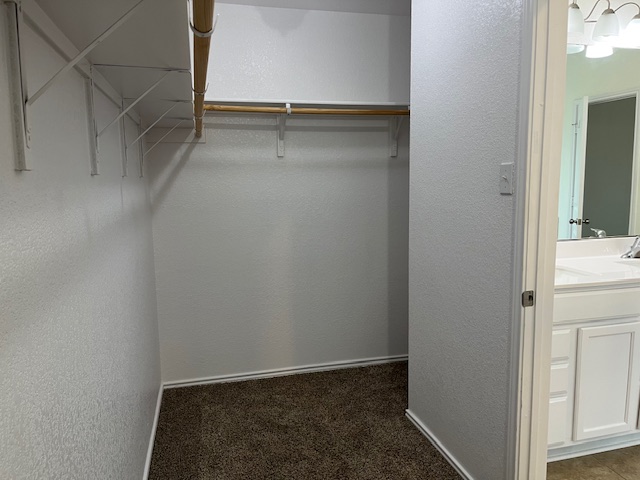 505 Ibis Falls Loop Jarrell, TX 76537 - Photo 12 of 29 a view of closet