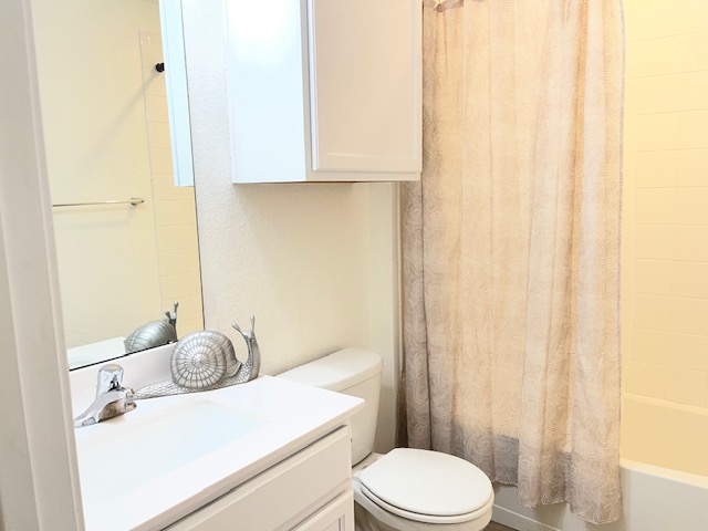 505 Ibis Falls Loop Jarrell, TX 76537 - Photo 18 of 29 a bathroom with a sink a toilet and shower curtain