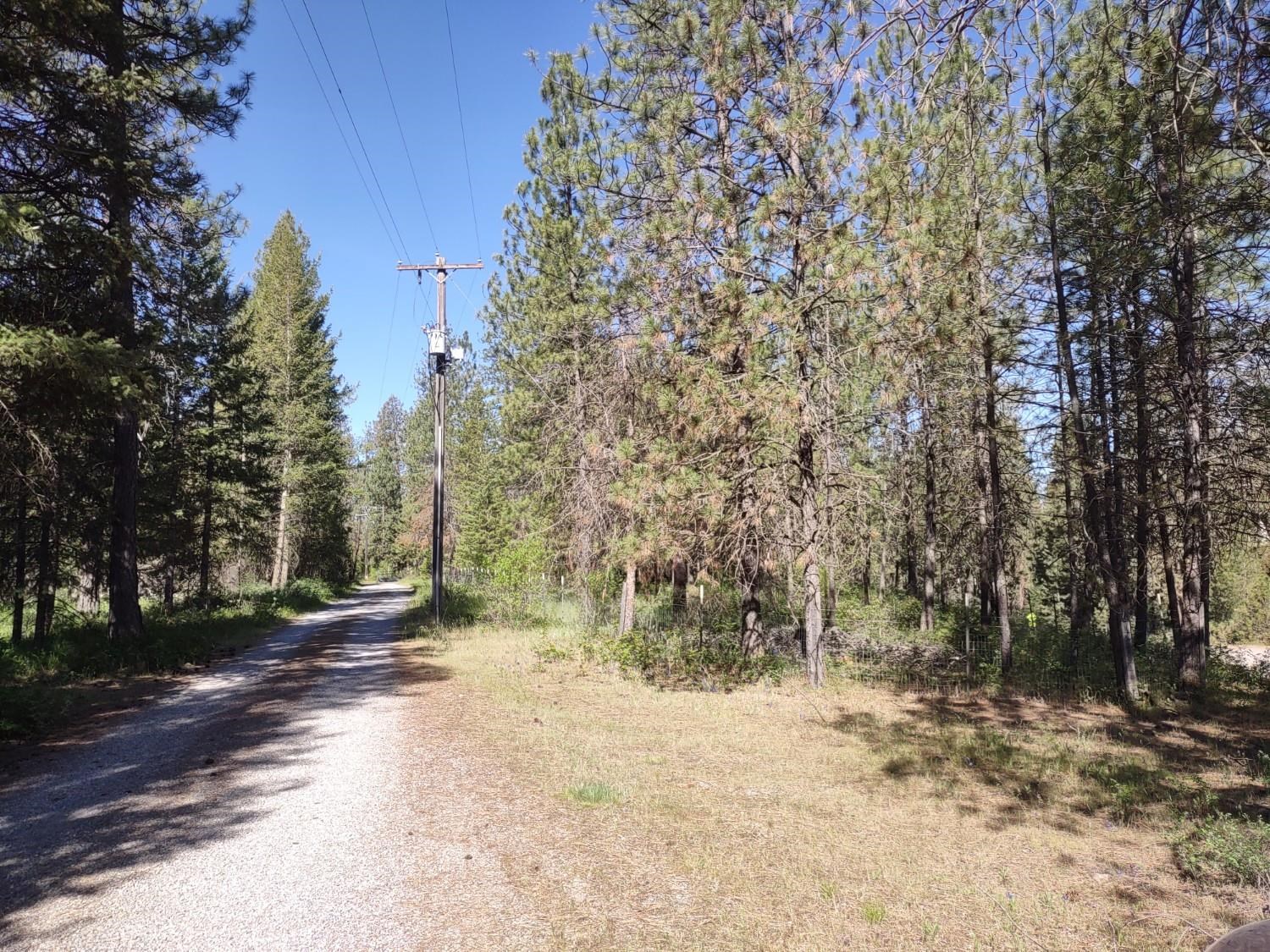 3199 B Bulldog Creek Road Valley, WA 99181 - Photo 18 of 21
