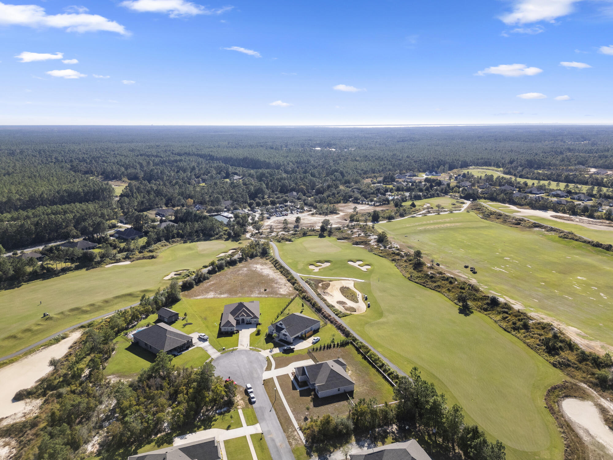 170 Double Eagle Court Freeport, FL 32439 - Photo 42 of 46 an aerial view of residential houses with outdoor space