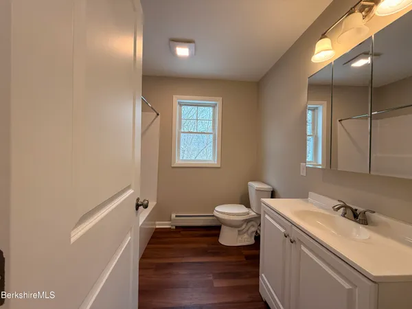 a bathroom with a sink and a toilet