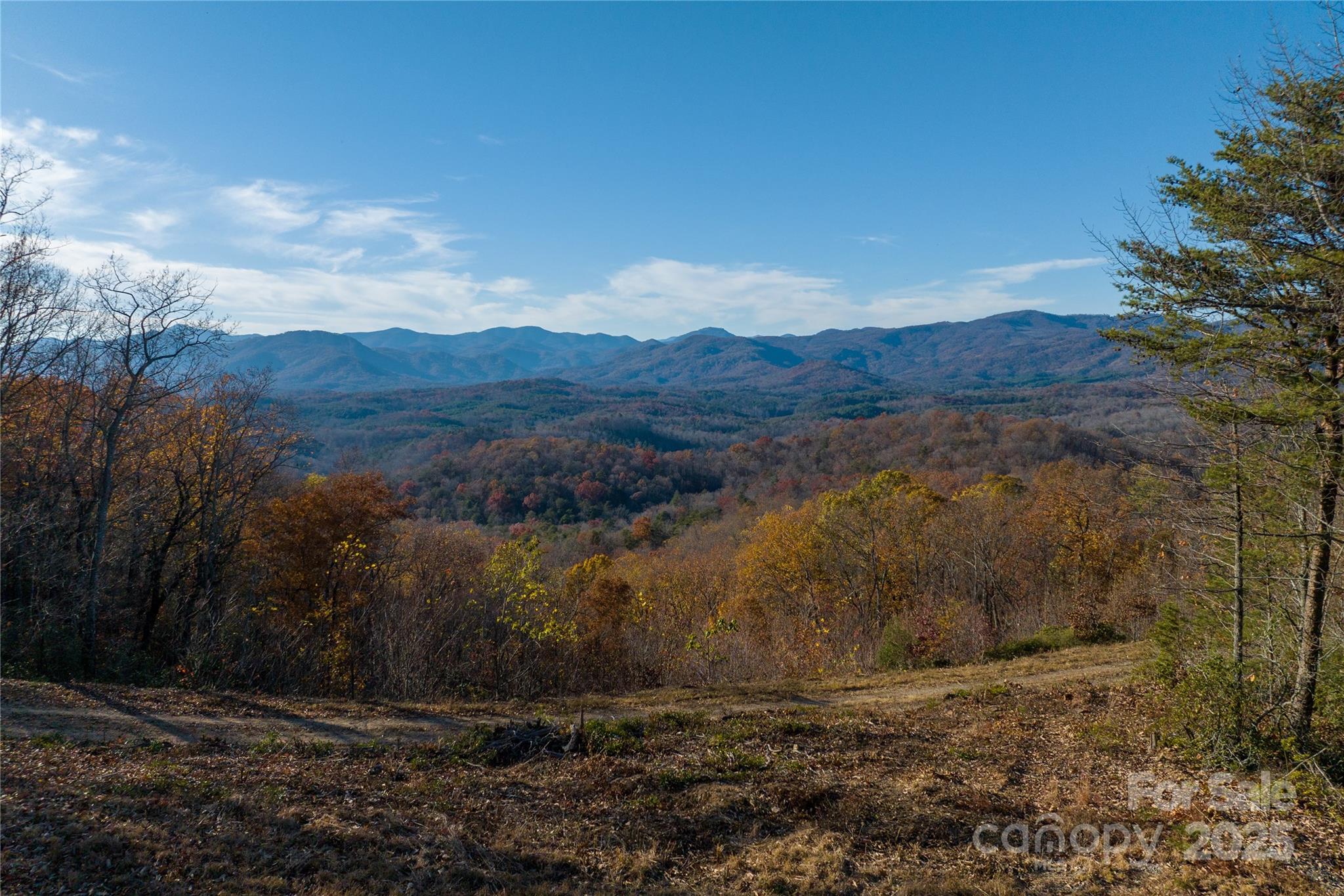 0 The Fls Road, Unit 2 Union Mills, NC 28167 - Photo 11 of 13 a view of a yard with mountain view