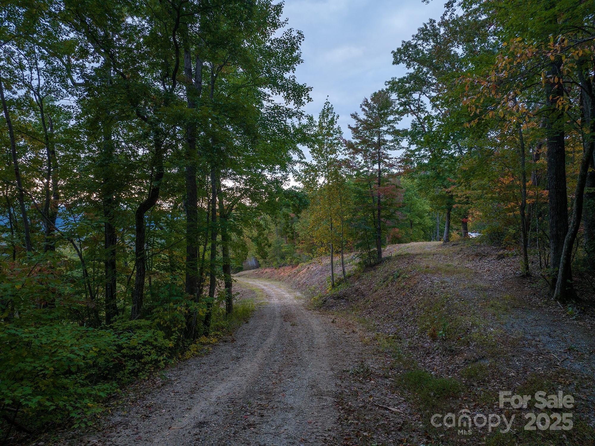 0 The Fls Road, Unit 2 Union Mills, NC 28167 - Photo 8 of 13 a view of a forest with trees in the background