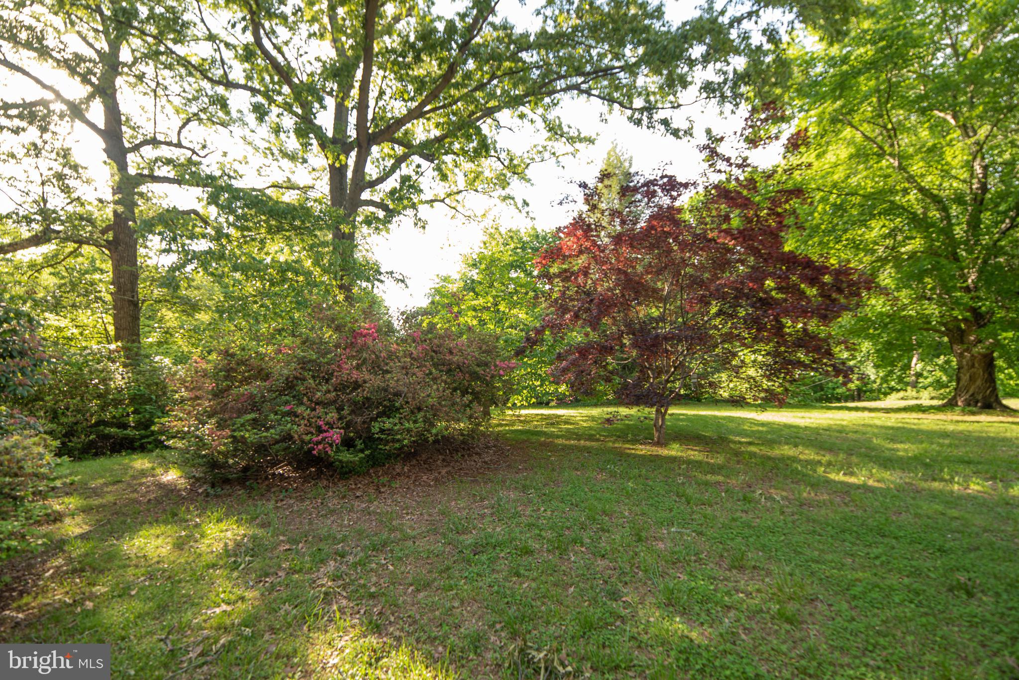 6919 Harvey Road Manassas, VA 20112 - Photo 3 of 17 Gallery Image 3