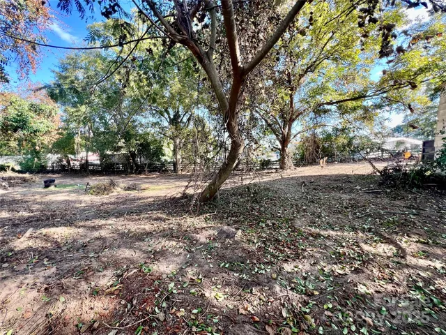 a view of dirt yard with a tree